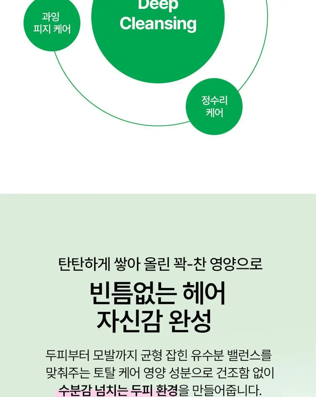 [피지컨트롤/두피청정]모레모 카페인바이옴 샴푸 지성용 495ml 상세페이지 11